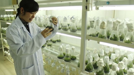 Hướng đi nào giúp ngành bảo vệ thực vật phát triển bền vững (16/5/2018)