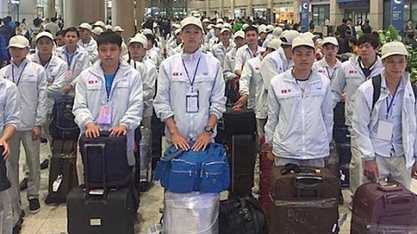 Người lao động có nguyện vọng đi làm việc tại Hàn Quốc, cần phải làm gì? (5/5/2018)