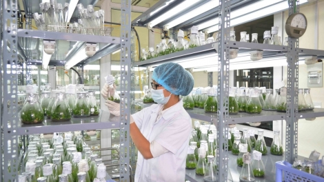 Làm thế nào để quản lý, tiếp cận và chia sẻ lợi ích từ việc sử dụng nguồn gen? (28/5/2018)