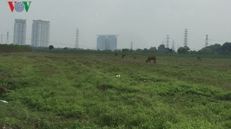 Bình Dương: Nỗi lo từ số giá ảo đất nền (18/5/2018)
