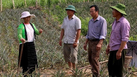 Gian nan chuyển đổi cơ cấu cây trồng cho vùng cao (22/6/2018)
