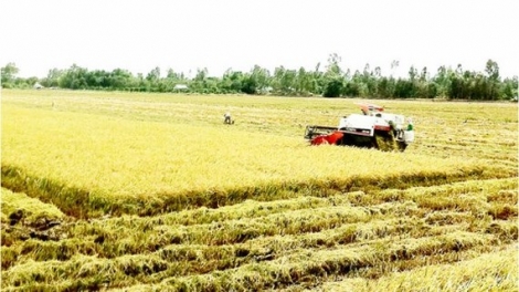 Viễn Thám: Giải pháp giảm thiểu rủi ro cho sản xuất nông nghiệp (7/6/2018)
