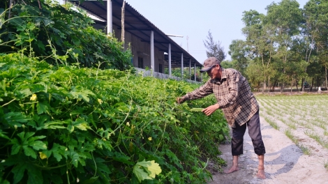 Quảng Trị: Chuyển đổi sinh kế giúp ngư dân nâng cao đời sống (19/6/2018)