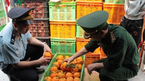 Doanh nghiệp còn gặp khó với thủ tục kiểm tra chuyên ngành (16/6/2018)