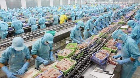 Việt Nam nỗ lực gỡ bỏ “thẻ vàng” của Liên minh châu Âu đối với thủy sản (8:05 giây)