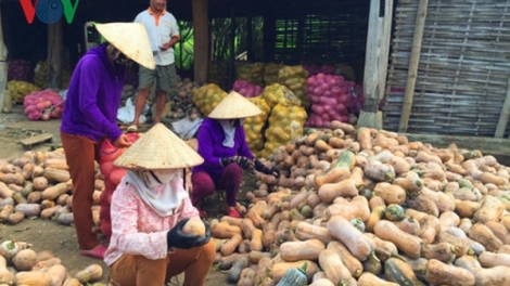 Liên kết doanh nghiệp không có nghĩa là bao tiêu sản phẩm (5/7/2018)