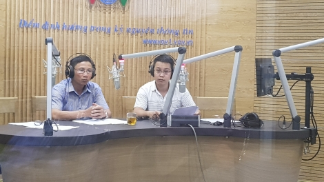 Cách trồng và chăm sóc cà phê trong mùa mưa (11/7/2018)