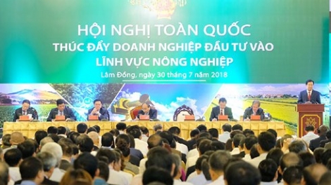 Thủ tướng Nguyễn Xuân Phúc: Phấn đấu đưa nông nghiệp Việt Nam vào top 15 nước phát triển nhất thế giới (Thời sự chiều 30/7/2018)
