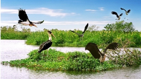 UNESCO công nhận thêm 24 khu dự trữ mới vào Mạng lưới Dự trữ Sinh quyển Thế giới (29/7/2018)