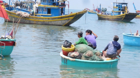 Nhức nhối tình trạng đánh bắt tận diệt ở Ninh Thuận (12/8/2018)