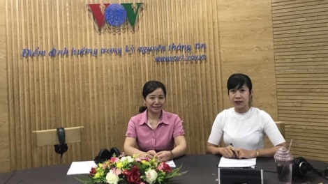 Việc làm an toàn, bền vững - phù hợp với nhu cầu thị trường lao động (11/8/2018)
