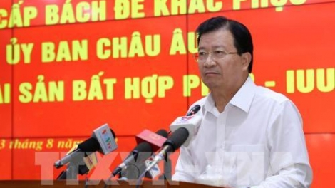 Phó Thủ tướng Trịnh Đình Dũng chủ trì Hội nghị tìm giải pháp gỡ ‘thẻ vàng’ cho thuỷ sản Việt Nam (Thời sự trưa 3/8/2018)