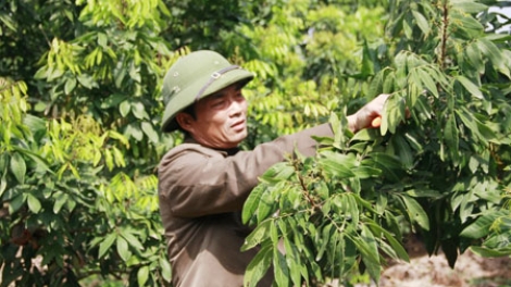 Lão nông với biệt danh “phù thủy nhãn lồng” (31/7/2018)