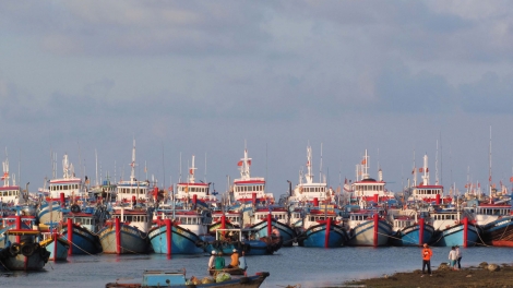 Nghiệp đoàn nghề cá giúp ngư dân yên tâm bám biển (19/8/2018)