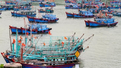 Để ngư dân có thể chủ động ứng phó với mưa bão (15/8/2018)