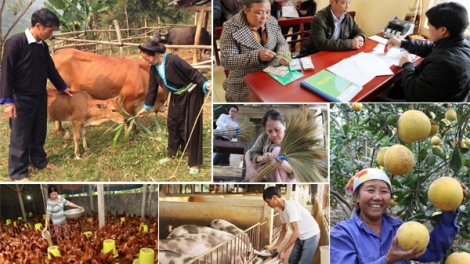 Giảm nghèo bền vững- Chính sách nhiều kinh phí ít (15/8/2018)