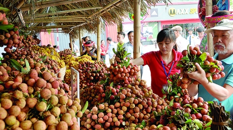 Xúc tiến thương mại đẩy mạnh tiêu thụ hàng Việt (31/8/2018)