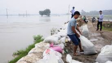 Các địa phương chủ động ứng phó với bão số 4 (15/8/2018)