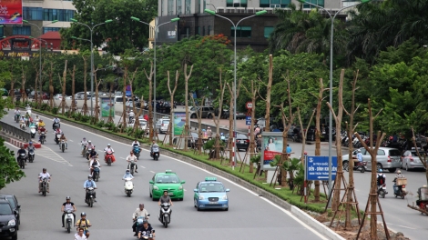An toàn về nhà (6/8/2018)