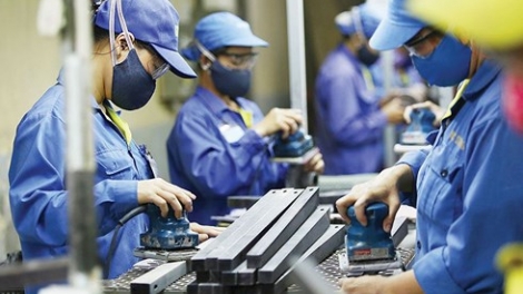 Cắt giảm điều kiện kinh doanh: Tiến độ “cởi trói” cho doanh nghiệp vẫn còn rất chậm chạp (15/8/2018)