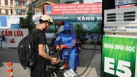 Phát triển nhiên liệu sinh học theo lộ trình của Chính phủ: Đưa xăng E5 về với vùng quê, bản làng (23/8/2018)