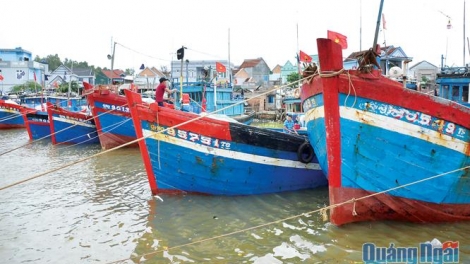 Quảng Ngãi thiếu lao động nghề cá (8/8/2018)