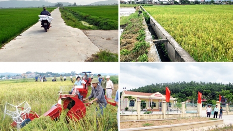10 năm: Bước chuyển biến lớn về nông nghiệp, nông dân, nông thôn (8/8/2018)
