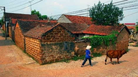 Loạt bài: Chủ trương đúng cần cách làm đúng - Vạn sự thành công. Bài 1: Nứt vỡ một làng quê (29/8/2018)