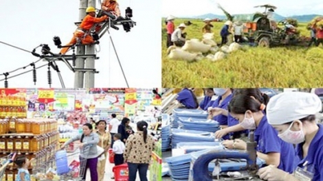 Nước rút hoàn thành chỉ tiêu cuối năm (31/8/2018)