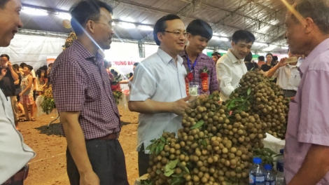 Xúc tiến thương mại sớm: Tránh cảnh được mùa mất giá cho sản phẩm cây trồng đặc sản (14/8/2018)
