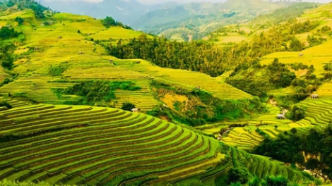 Khám phá vẻ đẹp Mường Lò – miền đất của những kỷ lục độc đáo (29/9/2018)