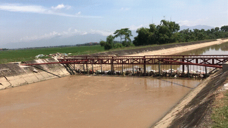 Lưới chắn rác ở Vĩnh Phúc, hiệu quả hay lãng phí? (10/9/2018)