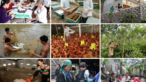 Làm gì để ngăn chặn hiệu quả hành vi trục lợi chính sách giảm nghèo? (25/9/2018)