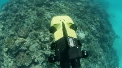 Australia ra mắt robot diệt sao biển nhằm bảo vệ rạn san hô lớn nhất thế giới (4/9/2018)