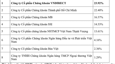 Thị phần môi giới phái sinh năm 2018: Công ty cổ phần chứng khoán VNDIRECT dẫn đầu thị trường (15/1/2019)
