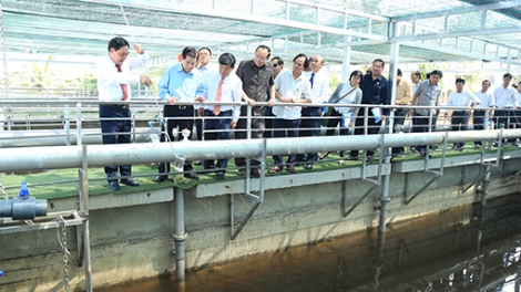 Khánh thành Nhà máy xử lý nước thải bằng phương pháp vi sinh đầu tiên trên cả nước tại tỉnh Bình Dương (Thời sự trưa 26/1/2019)
