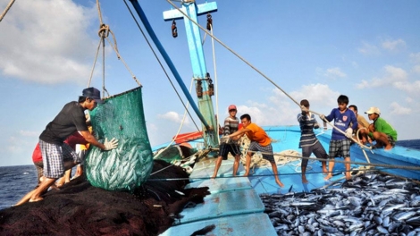 Hiệu quả của mô hình nghiệp đoàn nghề cá tại Đà Nẵng (21/1/2019)