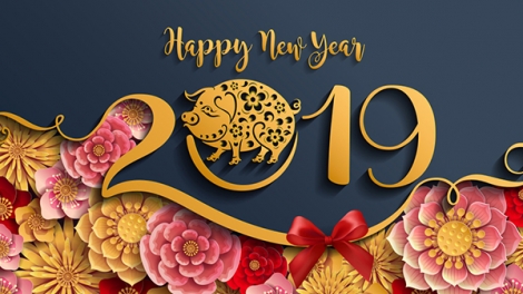 Chương trình phát thanh đặc biệt chào năm mới 2019 (31/12/2018)