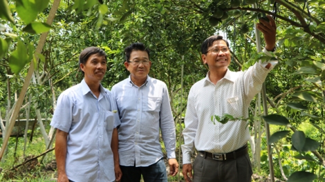 Hội quán - Mô hình mới để nông dân cùng nhau liên kết (11/1/2019)