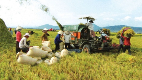 Những yếu tố tạo nên sự thay đổi về “chất” trong mô hình Hợp tác xã kiểu mới (9/1/2019)