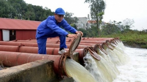 Lấy nước đổ ải đợt 1 năm 2019 - Lo ngại thiếu hụt nguồn nước (21/1/2019)