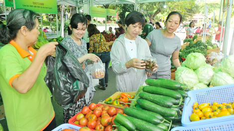 Hợp tác xã – kênh phân phối sản phẩm nông nghiệp an toàn (26/1/2019)