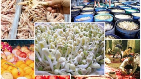 Bao giờ hết cảnh “miếng ăn – miếng lo”? (12/1/2019)