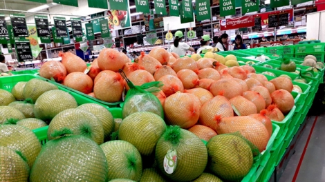 Xuất khẩu trái cây tăng trưởng ngoạn mục năm 2018 (5/1/2019)