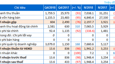 Các công ty công bố báo cáo tài chính quý 4/2018 (23/1/2019)