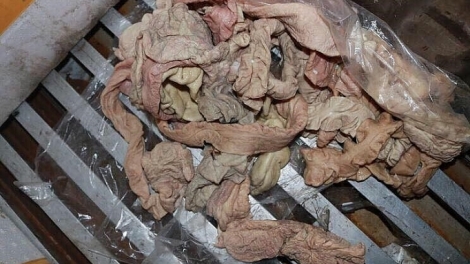 Hải Phòng: Tiêu hủy 6 tấn lòng lợn nhiễm dịch tả châu Phi (8/10/2019)