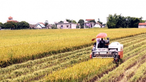 Dồn điền đổi thửa – bước đột phá trong xây dựng nông thôn mới (16/10/2019)