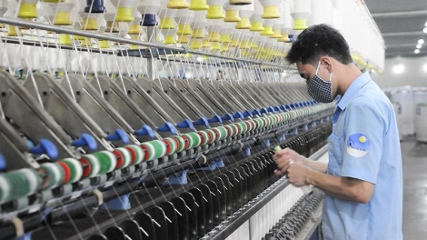 Vi phạm công bố thông tin, Damsan (ADS) bị phạt 70 triệu đồng (16/10/2019)