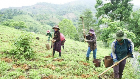 Đổi mới cách giải quyết tình trạng thiếu đất ở , đất sản xuất theo hướng tiếp cận sinh kế bền vững tại vùng đồng bào dân tộc (9/10/2019)