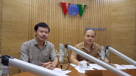 Tái đàn trong chăn nuôi - Làm sao để đạt hiệu quả nhất? (24/10/2019)